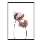 Gallerix Poster Watercolor Flowers No1 4218-30x40