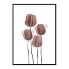Gallerix Poster Watercolor Flowers No2 4219-21x30G