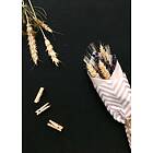 Venture Home Posters Flowers On Table Sort/beige Poster - on table 50x70 60097-0