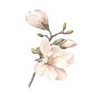 Venture Home Posters Hand Made 50x70 Rosa/vit 60092-003-SF