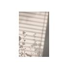 Venture Home Posters Flower Shadow Vit Poster - shadow White 50x70 60048-003