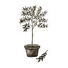 Venture Home Posters Olive Vit/grön 60057-001-SF