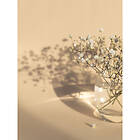 Venture Home Posters White Flowers Beige Poster - white flowers 70x100 60032-004