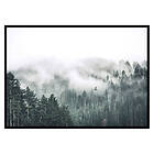Gallerix Poster Forest Valley 2959-30x40
