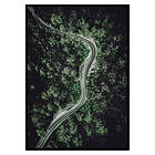 Gallerix Poster Forest Road 2878-50x70