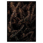 Gallerix Poster Fir Needle No1 2838-70x100