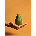 Venture Home Posters Avocado Orange/grön 60084-001-SF