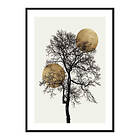 Gallerix Poster Silhouette No4 4023-21x30G