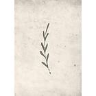 Venture Home Posters Autumn Leaf Beige Poster - leaf 30x40 60051-002