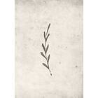 Venture Home Posters Autumn Leaf Beige Poster - leaf 21x30 60051-001