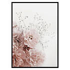 Gallerix Poster Roses In Pink 3001-50x70