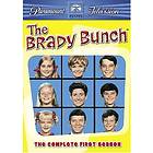 Brady Bunch - Season 1 (US) (DVD)
