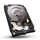 Seagate Barracuda ST250DM000 16MB 250GB