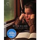 My Life as a Dog - Criterion Collection (US) (Blu-ray)