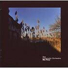 Cinematic Orchestra: Ma Fleur