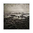 Arbouretum: Coming out of the fog 2013