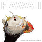 Collections Of Colonies Bees: Hawaii