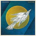 Six Organs Of Admittance: Burning The Threshold