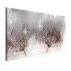 Arkiio Tavla Drops Of Dew Pink Wide 100x45