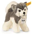 Steiff Huskyn Bernie, 17cm