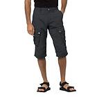 Jack Wolfskin Desert Valley 3/4 Pants (Homme)