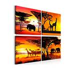 Arkiio Tavla African Animals 4 delar 60x60 (4 Parts) A3-N7880