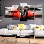 Arkiio Tavla Lonely Elephant 200x100 A3-N7051-DK