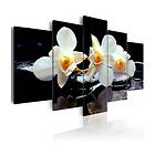Arkiio Tavla Orchids With Orange Accent with accent 100x50 A3-N3291