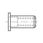 Toolcraft TO-5444247 Blindnittemøtrik M10 Stål 100 stk