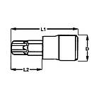 Teng Tools Torx bit socket 1/4 T40 x 32mm (112060702)