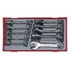 Teng Tools Set of combination wrenches 10-19mm 10pcs. (109470104)