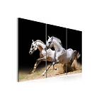 Arkiio Tavla Power And Velocity Horses- 60x40