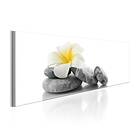 Arkiio Tavla White Lotus 150x50 A3-N6570-DK150