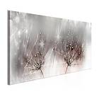 Arkiio Tavla Drops Of Dew Pink Narrow 120x40