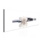 Arkiio Tavla Spa Beauty and Relaxation 135x45