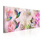 Arkiio Tavla Colourful Hummingbirds (1 Part) Narrow 150x50 A3-N7853-DK150