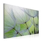 Arkiio Tavla Dandelion In The Wind 60x40