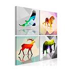 Arkiio Tavla Colourful Animals 4 delar (4 Parts) 40x40 A3-N7926