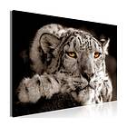 Arkiio Tavla Magic Eyes (1 Part) Wide 120x80 A3-N7929-DK