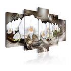 Arkiio Tavla Brown Mirage II 100x50 A3-N4398