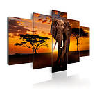 Arkiio Tavla The Savannah King 100x50 A3-N5824