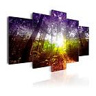 Arkiio Tavla Rainbow Forest 100x50 A3-N3773