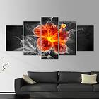 Arkiio Tavla Smoky Flower 200x100