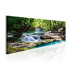 Arkiio Tavla Nature Forest Waterfall 120x40 A3-N6621