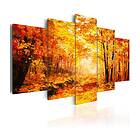 Arkiio Tavla Autumn Alley 100x50 A3-N4306