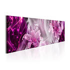 Arkiio Tavla Purple Flames 135x45 A3-N6177-DKX