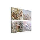 Arkiio Tavla Morning Glow 80x80 A3-N6782-80x80