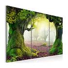 Arkiio Tavla Mysterious Forest Triptych 60x40