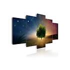 Arkiio Tavla Starry Nights 200x100 A3-N5675-DKX