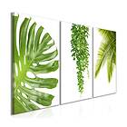 Arkiio Tavla Beautiful Palm Trees 3 delar 120x60 (3 Parts) A3-N8131